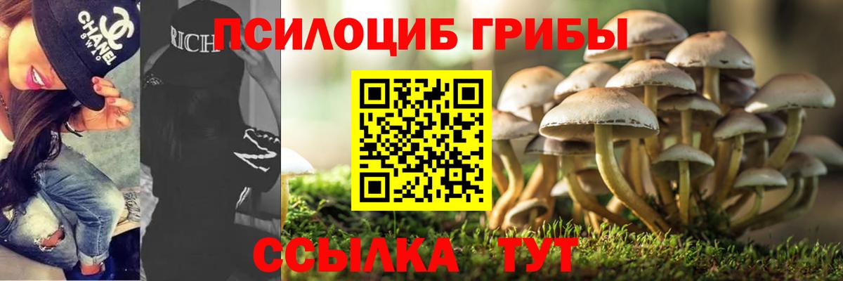 Псилоцибиновые грибы мицелий Уварово